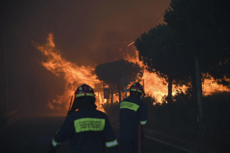 fotia-6-768x512