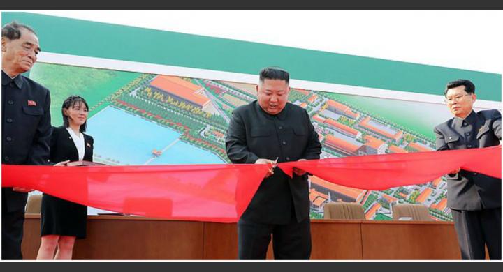 Kim