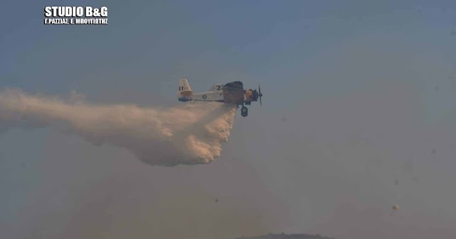 67820130_2311505955830763_6590252549750652928_n