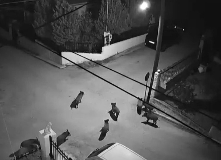 Screenshot_2022-11-04-08-23-00-093-edit_com.google.android.youtube