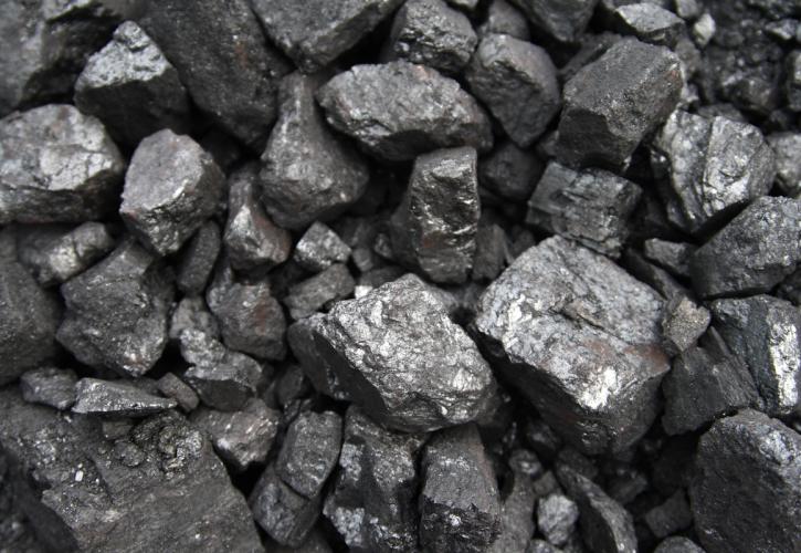 orykta_fossil_shutterstock (1)