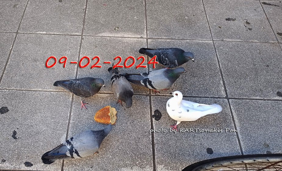 MAIL 240206_120520