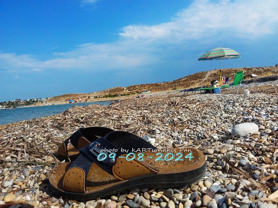 MAIL 0080170445