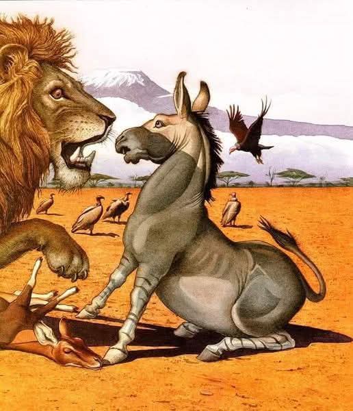 FB_IMG_1736579592025