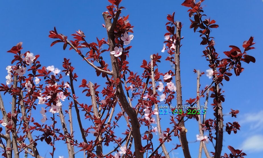 MAIL 00317_124302 (1)