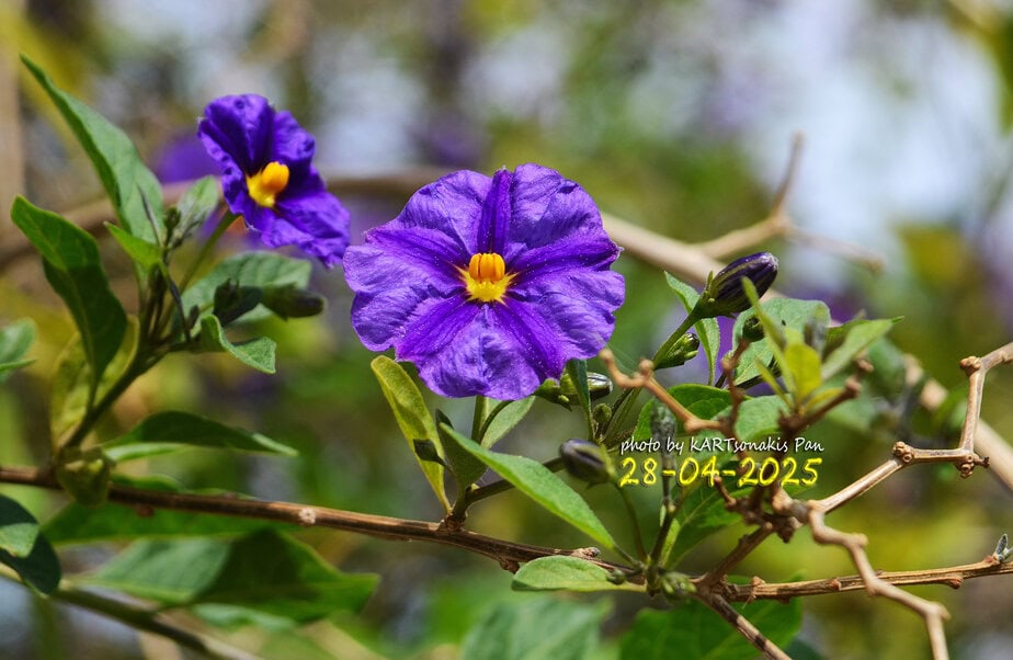 MAIL_u7760228