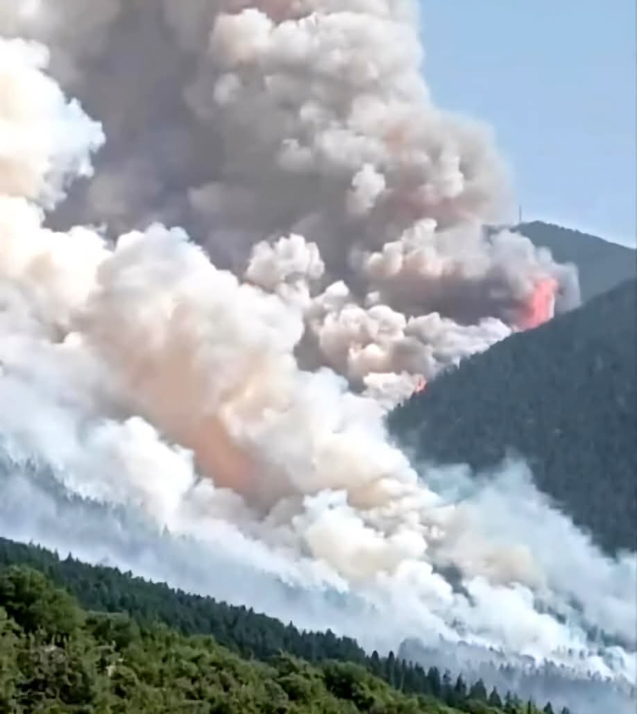 FB_IMG_1753213649667