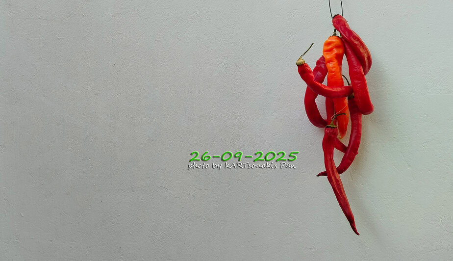 Colorful chili peppers hanging on wall, vibrant red and orange peppers, spicy food ingredients, eKorinthos.