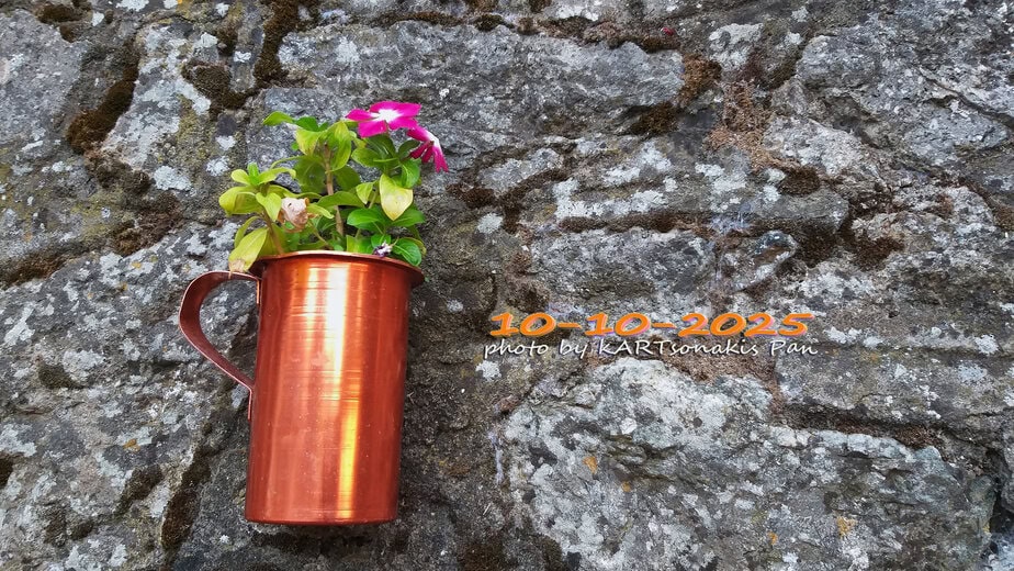 Vase with pink flowers on a stone wall, outdoors, in Corinth, Greece.