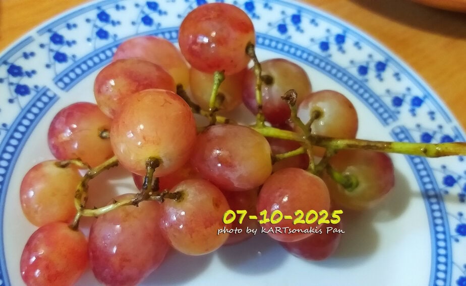 Red grapes on a decorative plate, fresh and ripe, typical of Korinthos region.