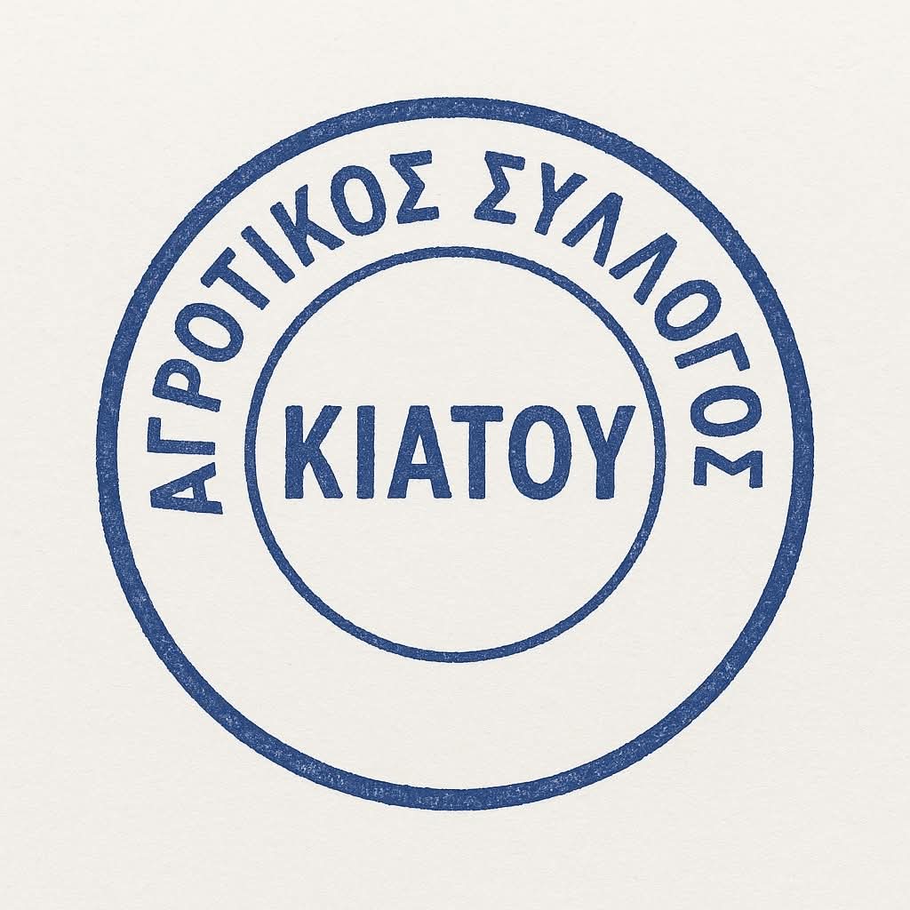 FB_IMG_1766941478559