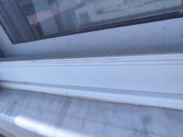 Έχει γεμίσει σκνιπακια η Κορινθος