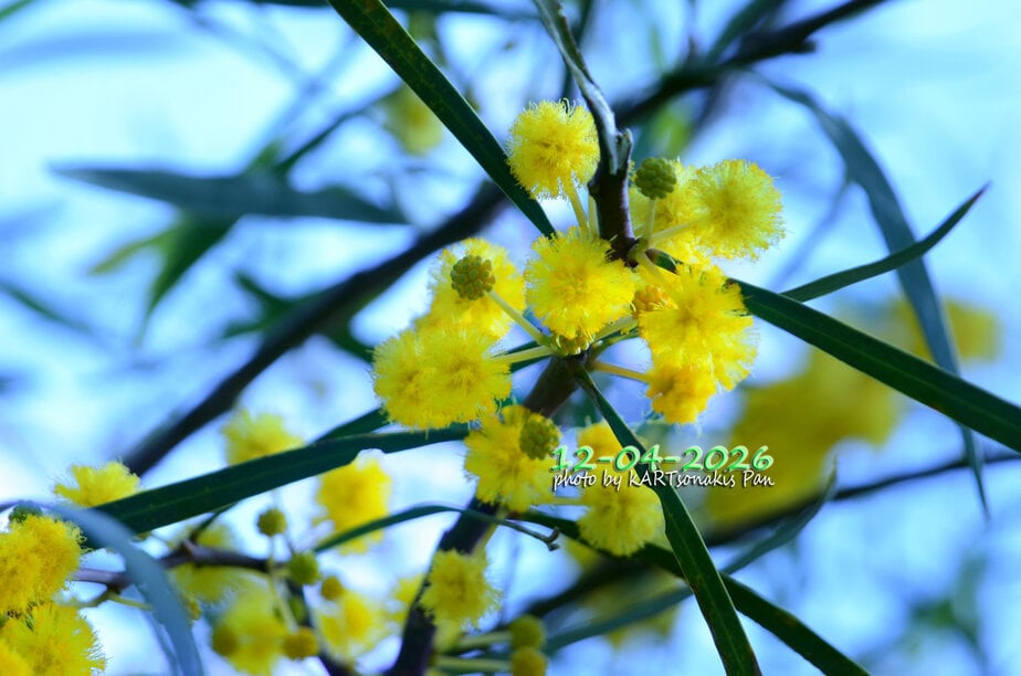 MAIL _5878331