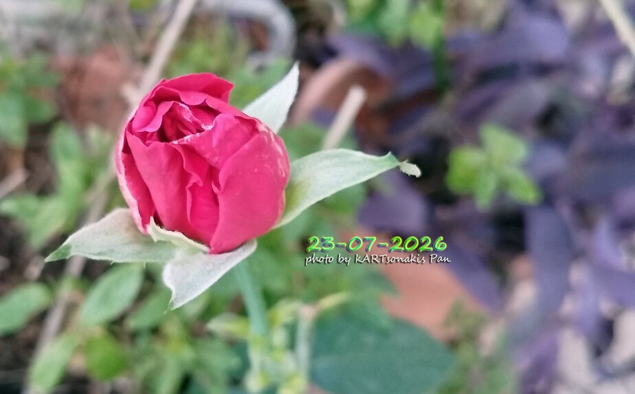 MAIL 01_202247